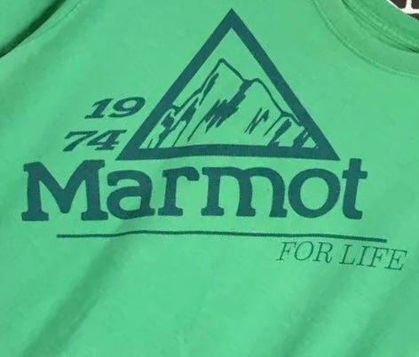 Marmot