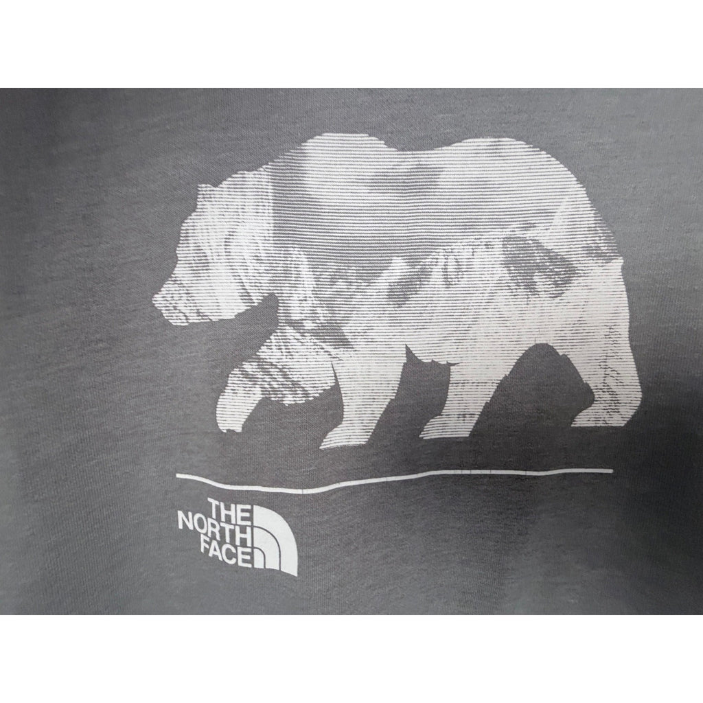The North Face Men's Gray Graphic Hoodie — photo 4