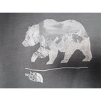 The North Face Men's Gray Graphic Hoodie — photo 4