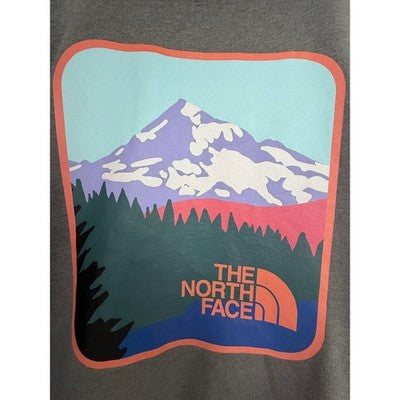 The North Face Graphic Hoodie Mens Medium Gray Pullover Sweatshirt Outdoor - product photo 4