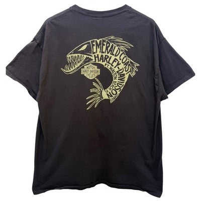 Harley Davidson Graphic T Shirt Mens XL Brown Emerald Coast Ft Walton Beach - product photo 2