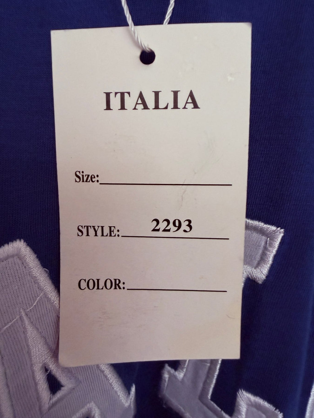 Italia Men's Blue Crewneck T-Shirt — brand label