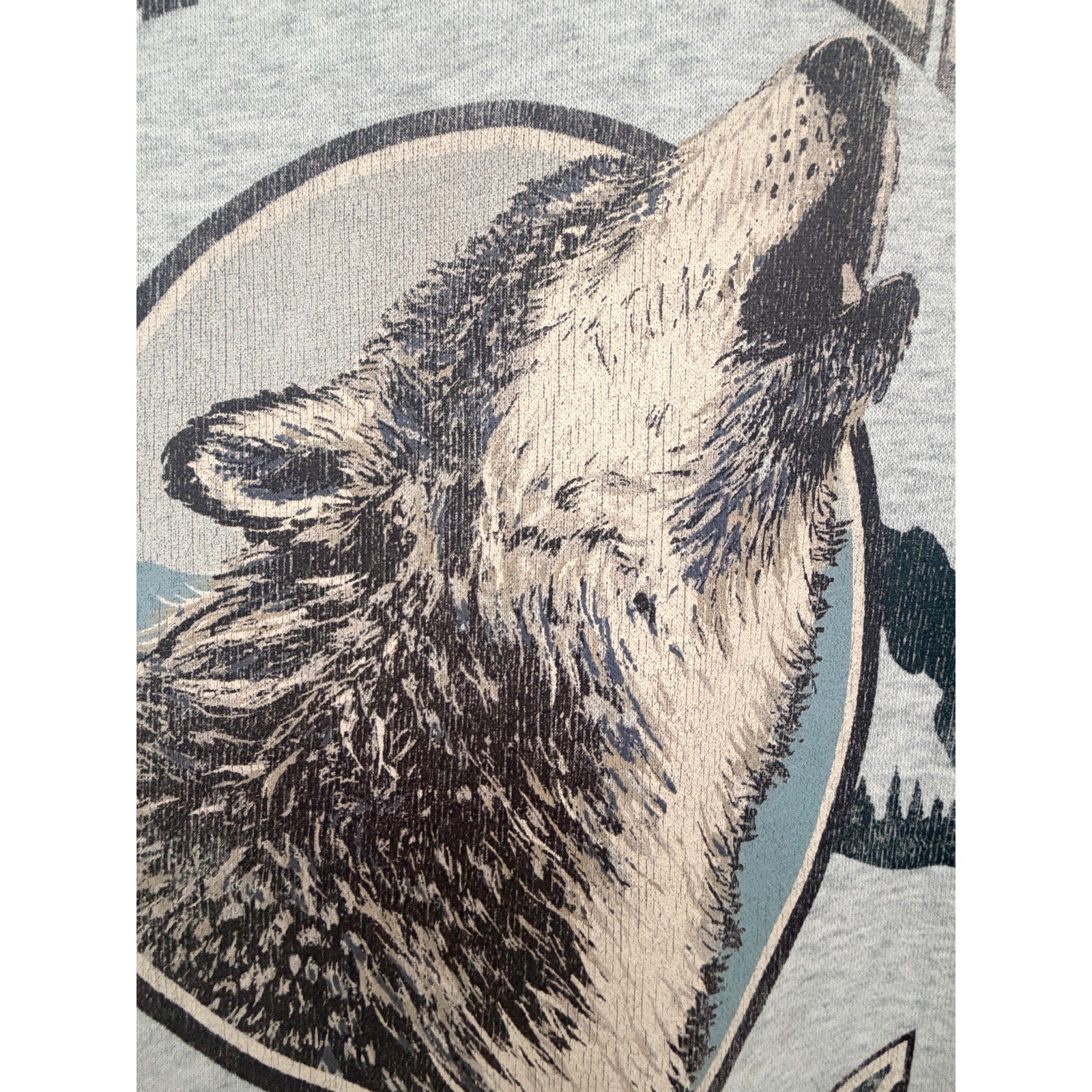 Abercrombie Denali Alaska Wolf Oversized Crewneck Women's XS