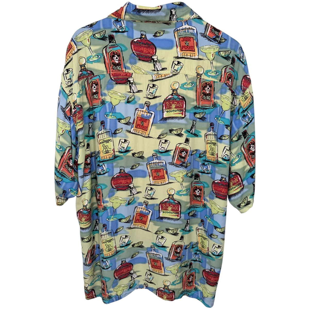 Big Dogs Men's Blue Fleece Button-Up — back view