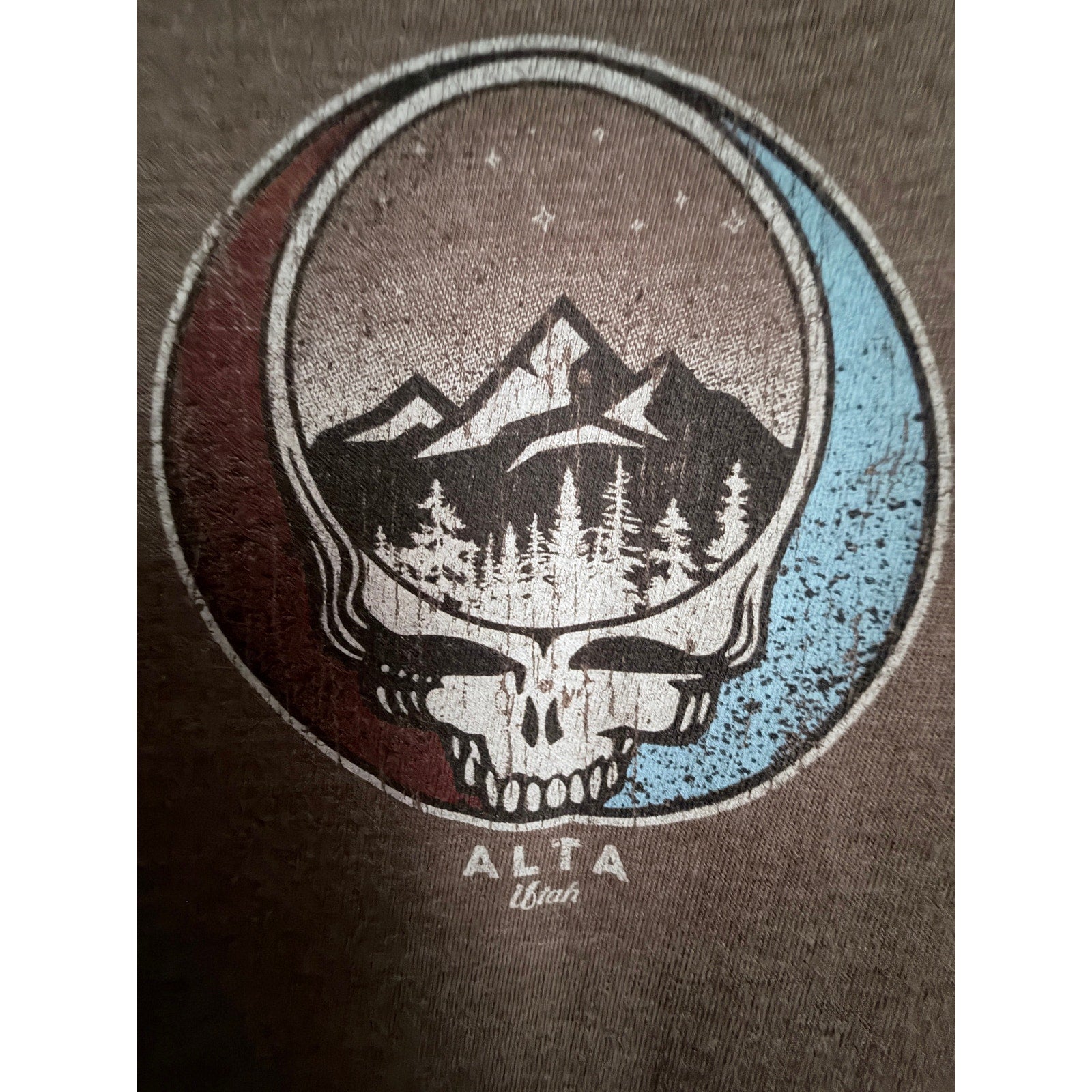 Spectra Alta Utah Skull Mountain Graphic T Shirt Mens Medium Brown