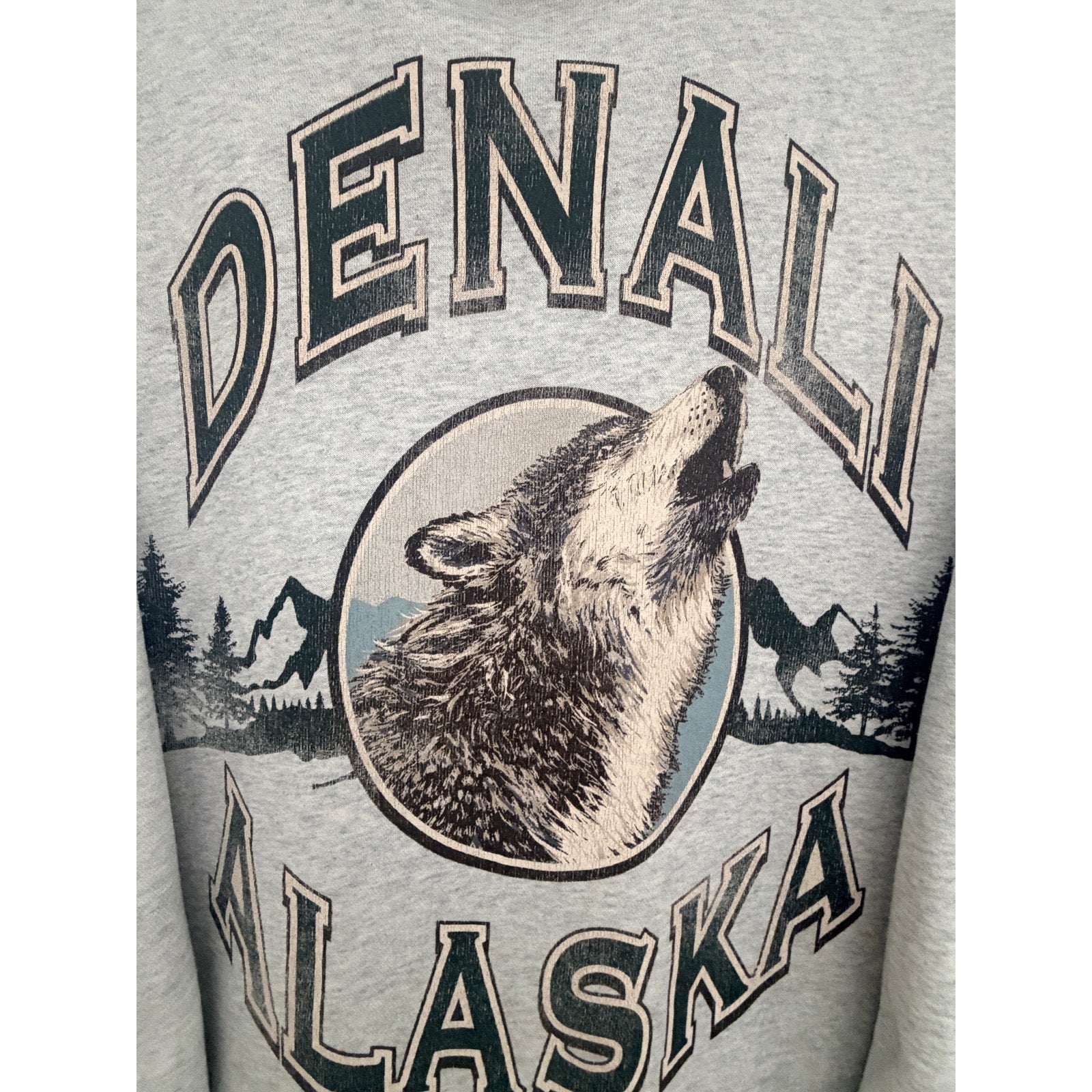 Abercrombie Denali Alaska Wolf Oversized Crewneck Women's XS