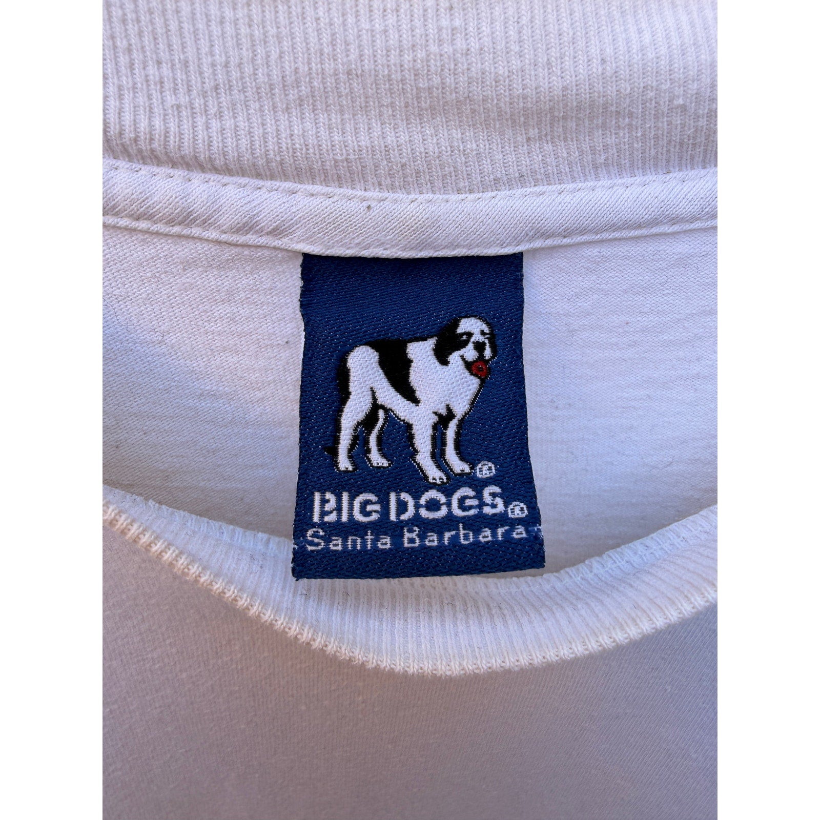 Big Dogs Graphic T Shirt Mens 3XL Beige Fishing Humor Vintage Style Tee