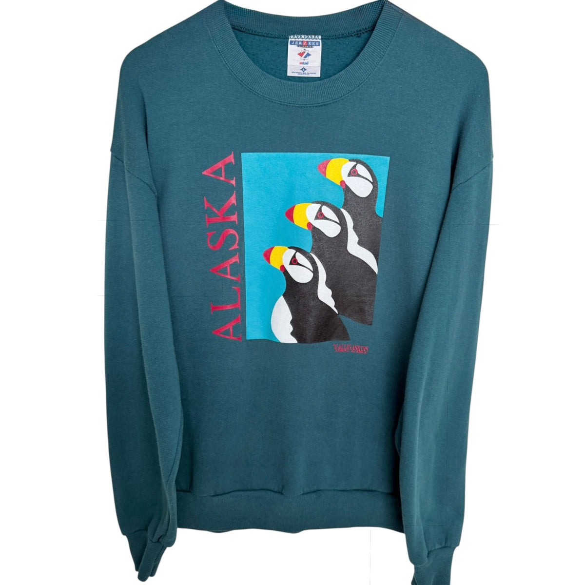 Jerzees Men's Teal Alaska Puffin Sweatshirt — front view