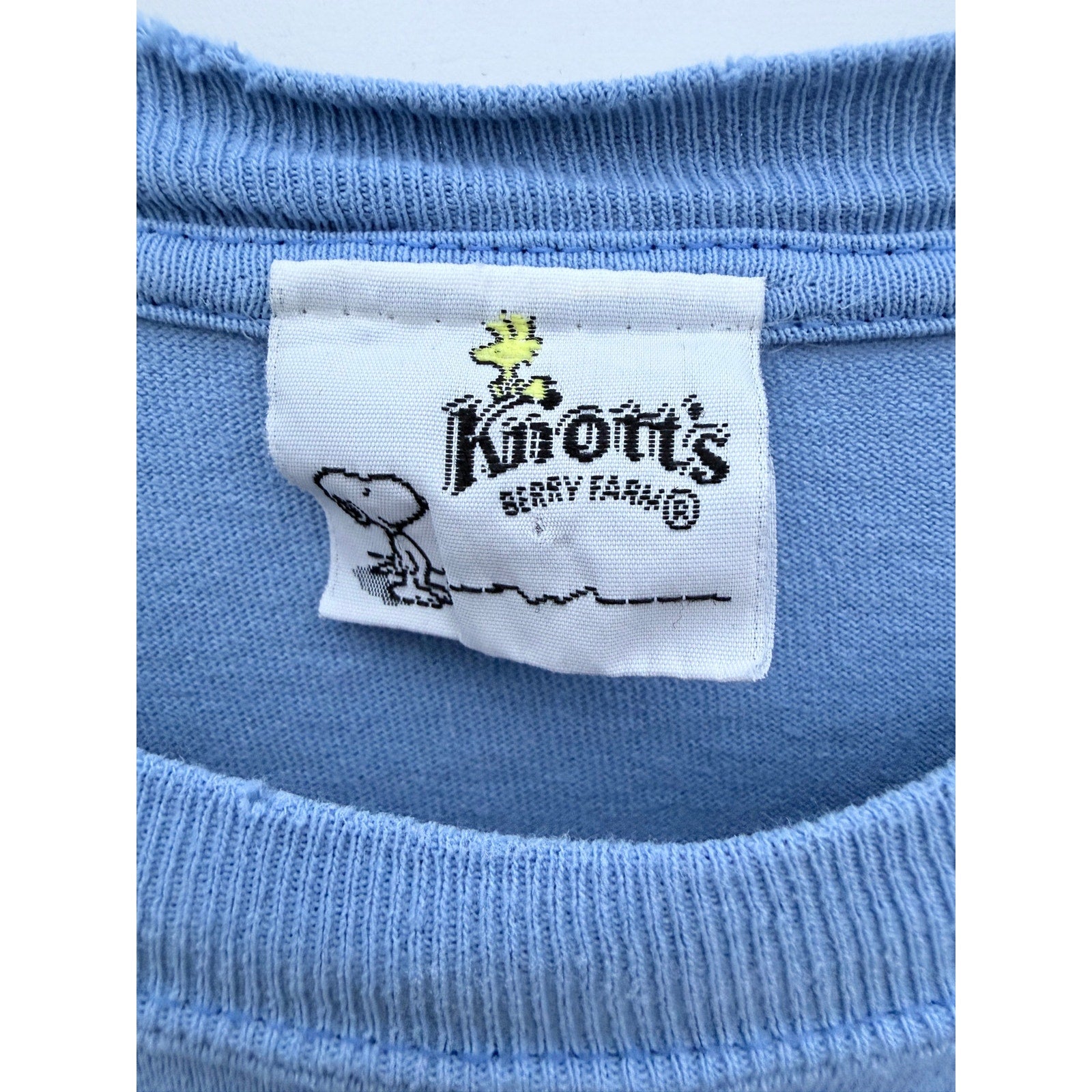 Knott’s Berry Farm Perilous Plunge T Shirt Mens Large Blue Graphic Tee