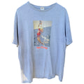 San Francisco 49ers The Catch Vintage Style T Shirt Mens Large Gray NFL Tee