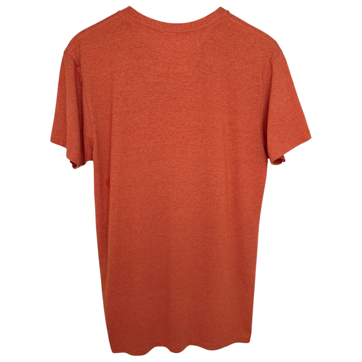 Disney Men's Orange Disney Crewneck T-Shirt — back view