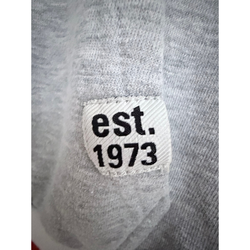Detroit Red Wings Hoodie Mens Large Gray NHL Pullover Sweatshirt