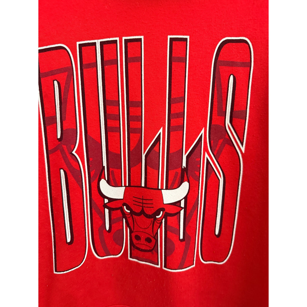 Chicago Bulls NBA Pullover Hoodie Mens XXL Red Team Logo Sweatshirt
