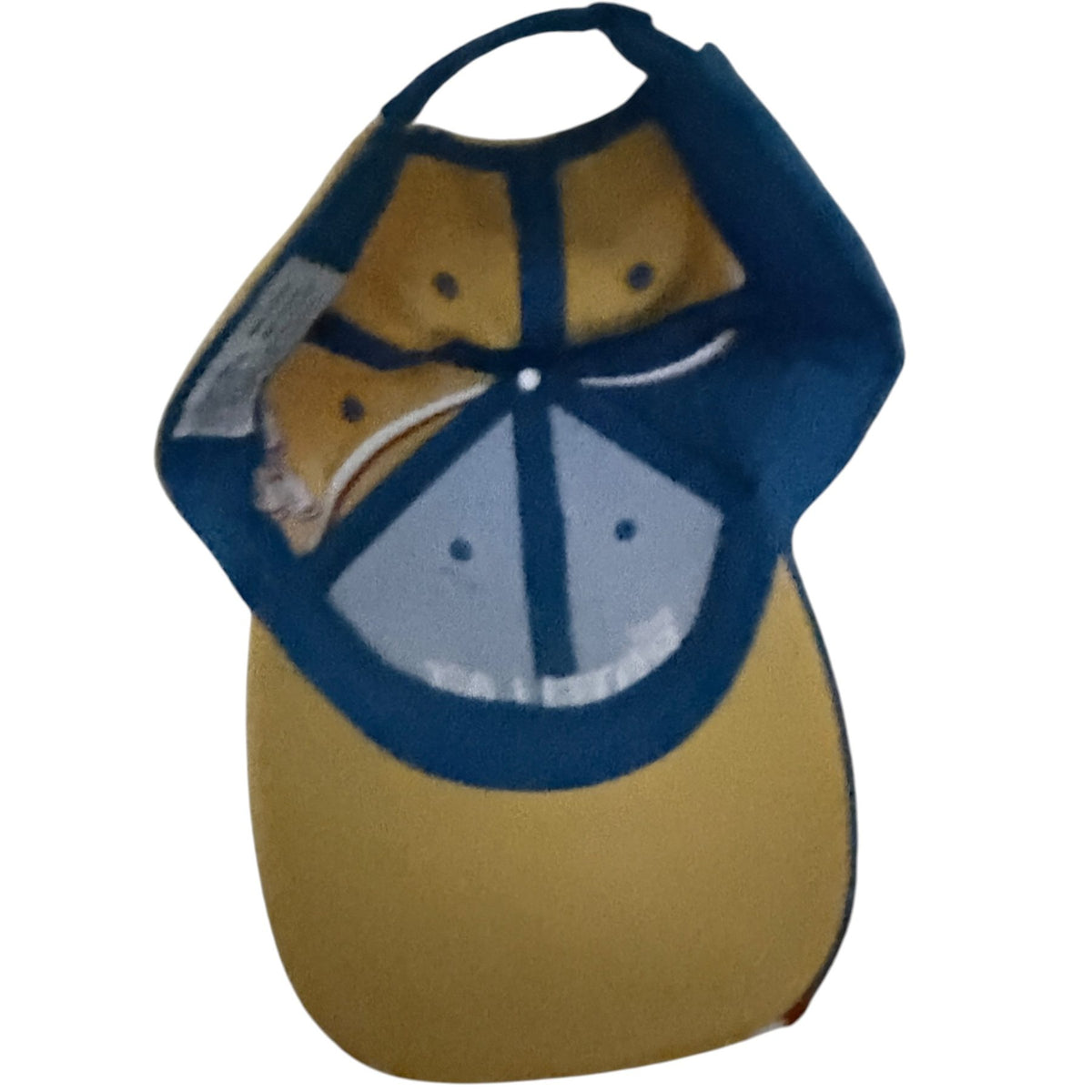EVIGNA Men's Blue Kevin Harvick Colorblock Hat — back view
