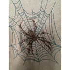Hollister Baggy Cinch Spider Web Graphic Hoodie Mens XL Brown Embroidered