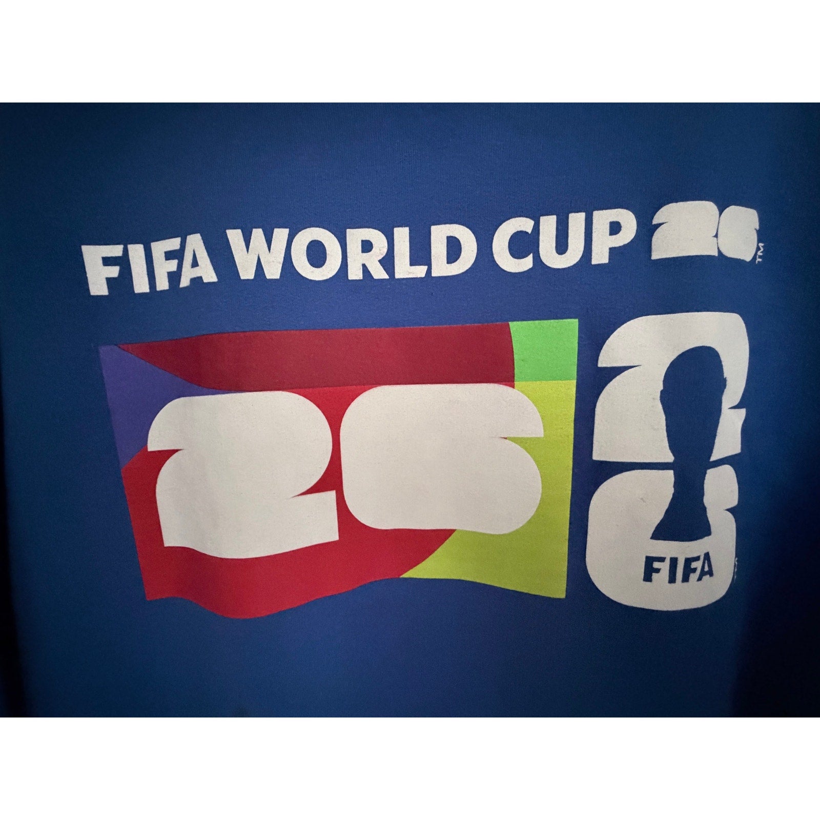 FIFA World Cup Mens Large Hoodie Blue Graphic Pullover